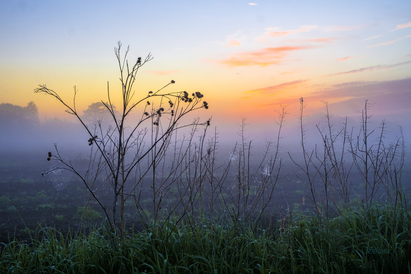 Весна в поле.