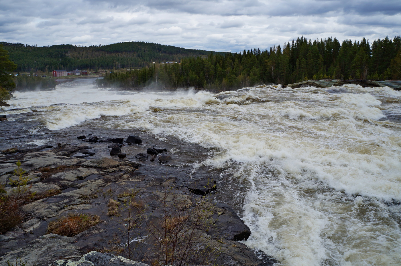 Веселая вода