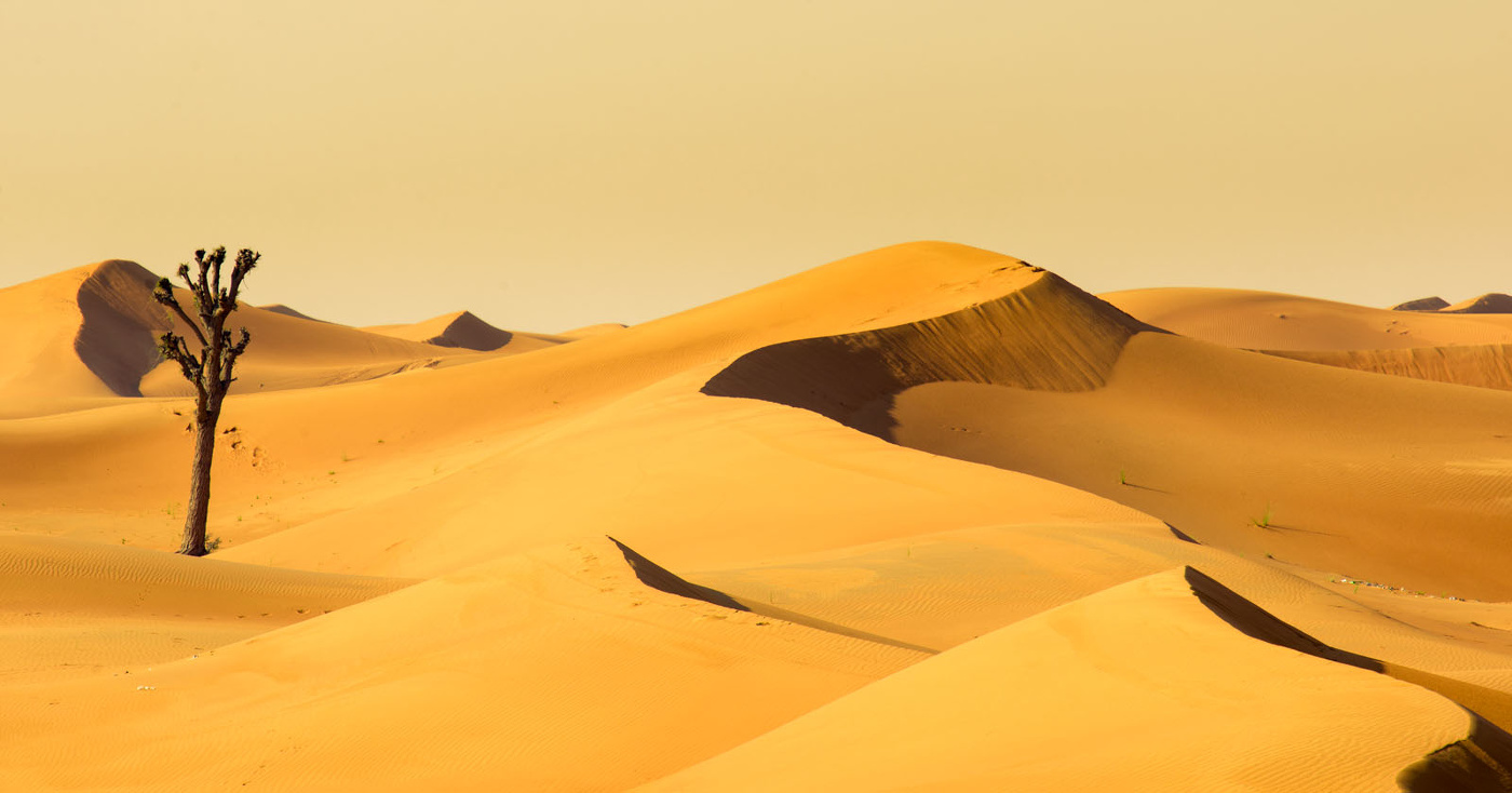 Одын, совсем один