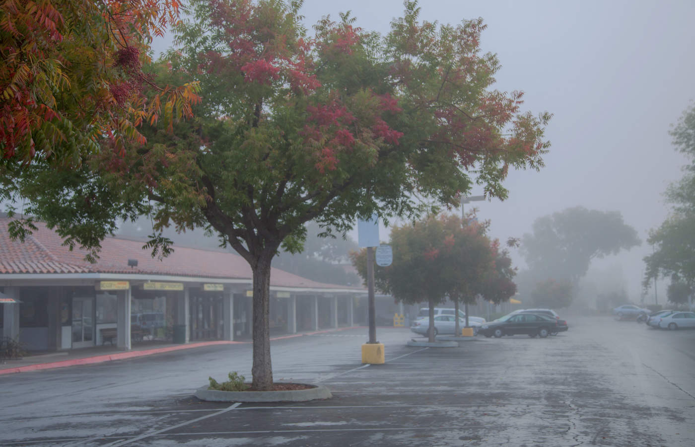 Утро туманное