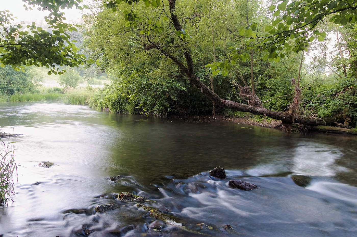 Ранним утром