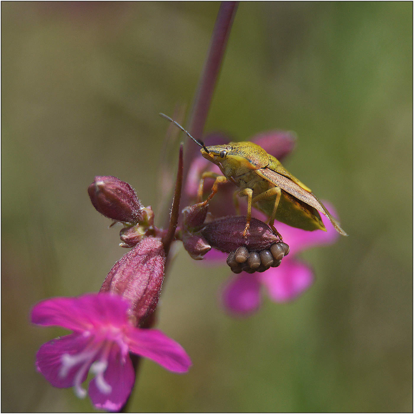 Думая о будущем.