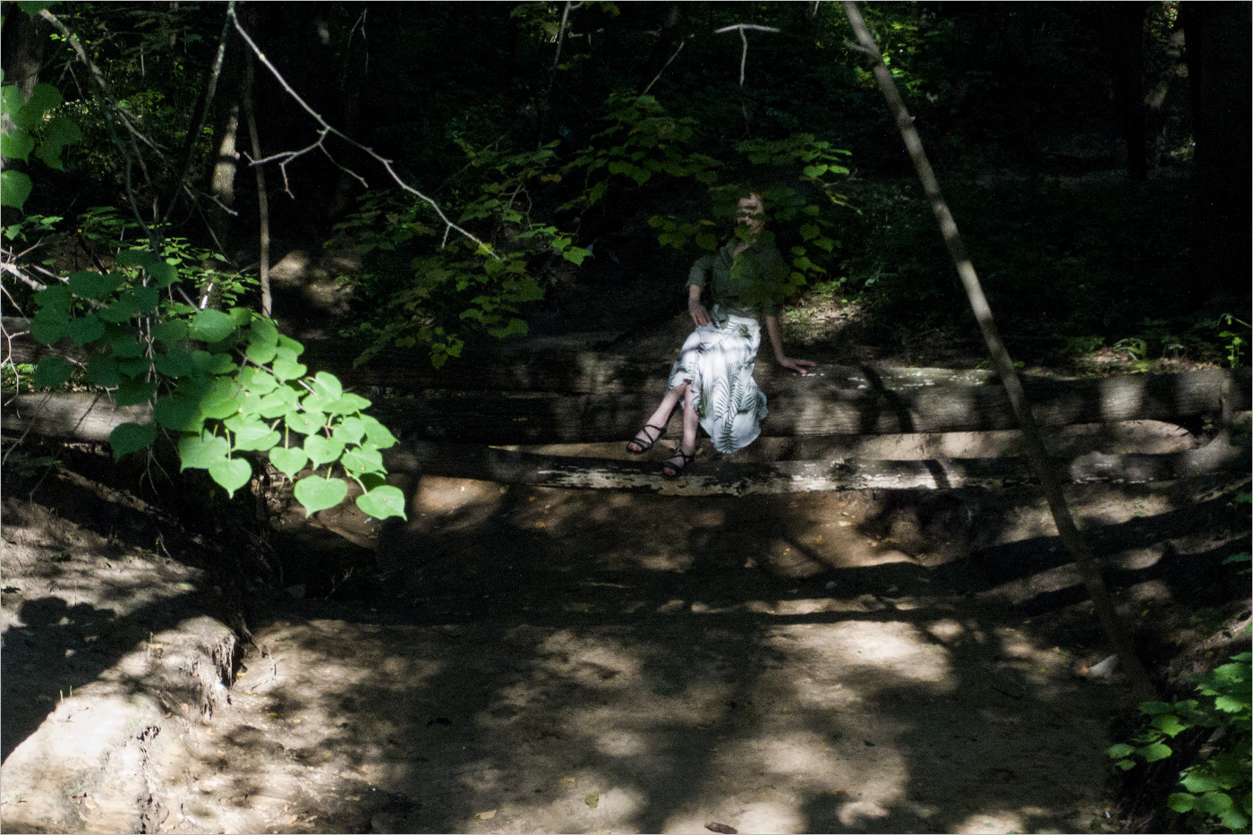 незнакомка