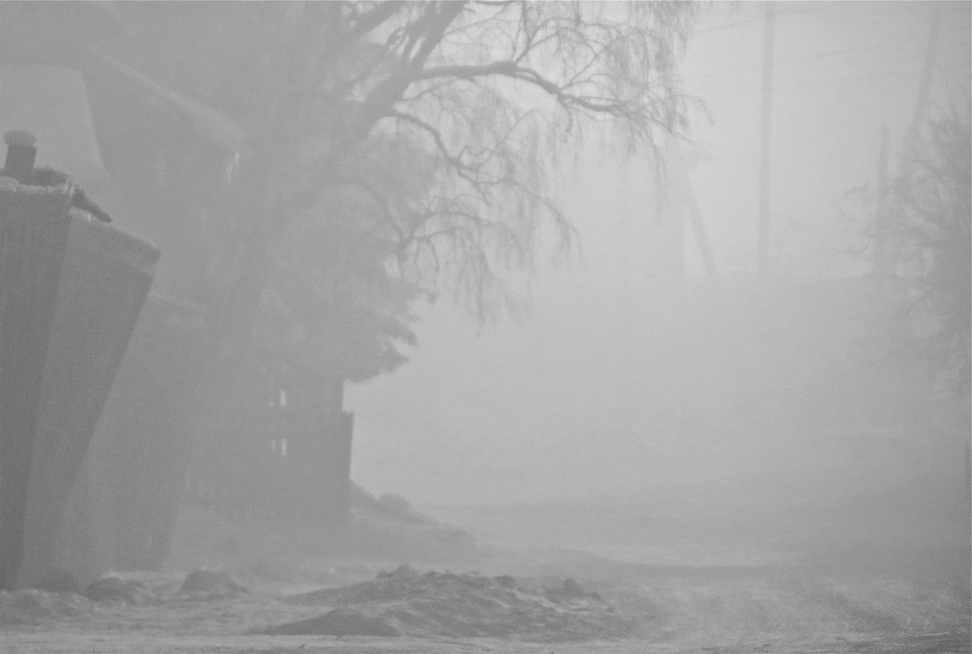 Утренний туман (моно)