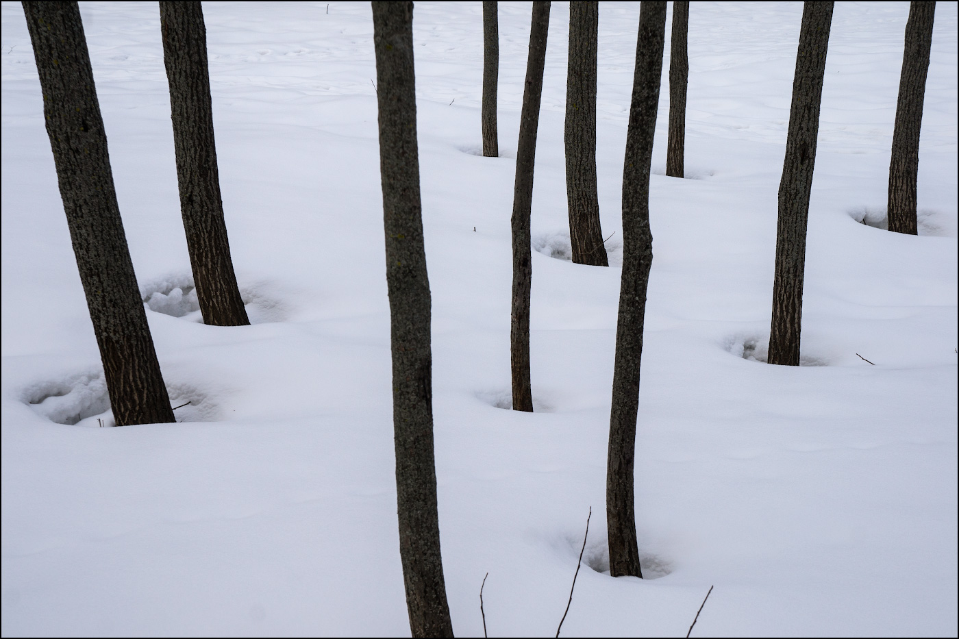 Пятеро, которые молчали