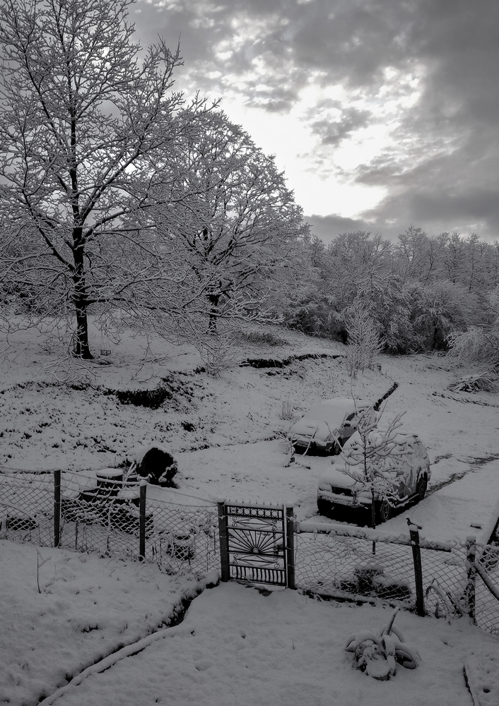 Утро после снегопада...
