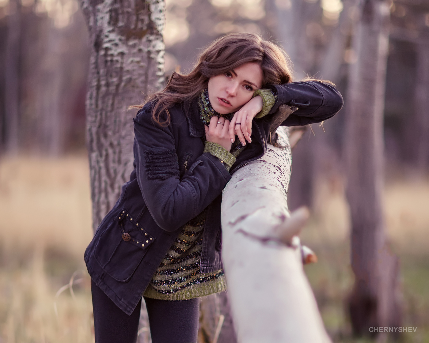 из альбома "логика листьев".