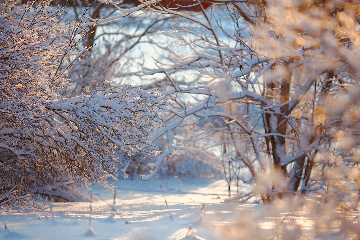 зимнее одиночество..
