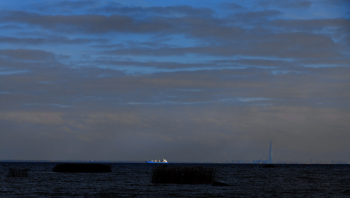 Маркизова лужа 5