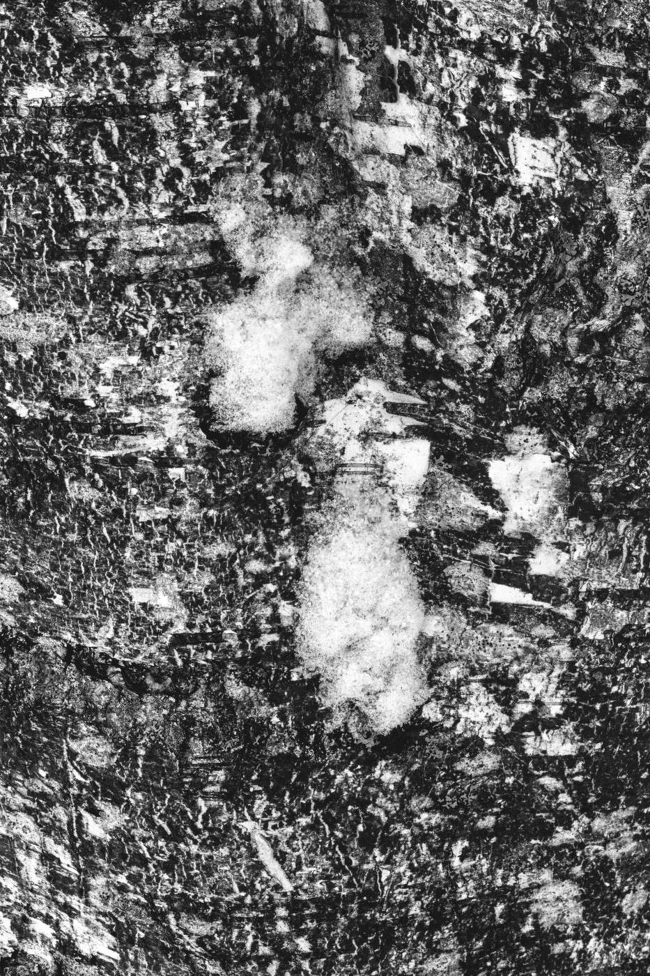 Жизнь вокруг