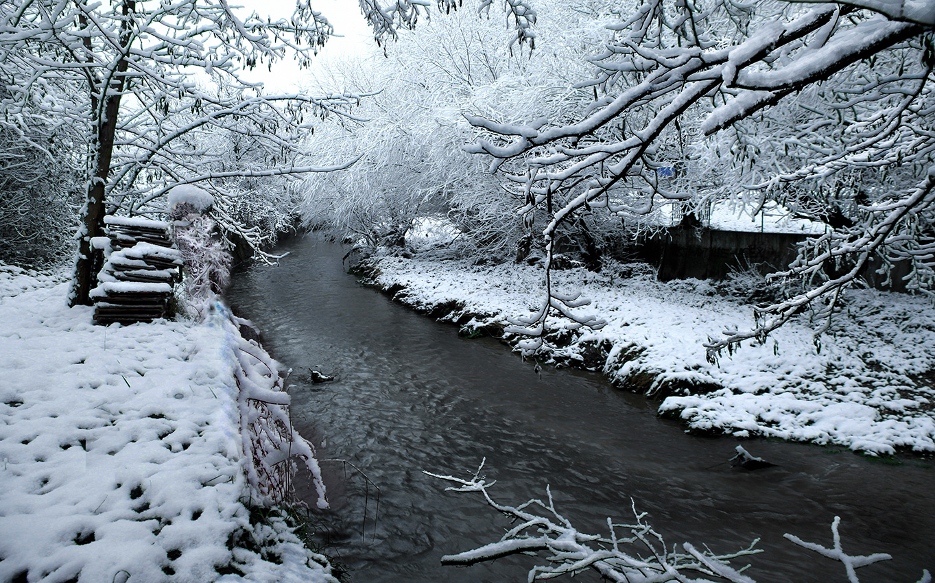 Зимний этюд