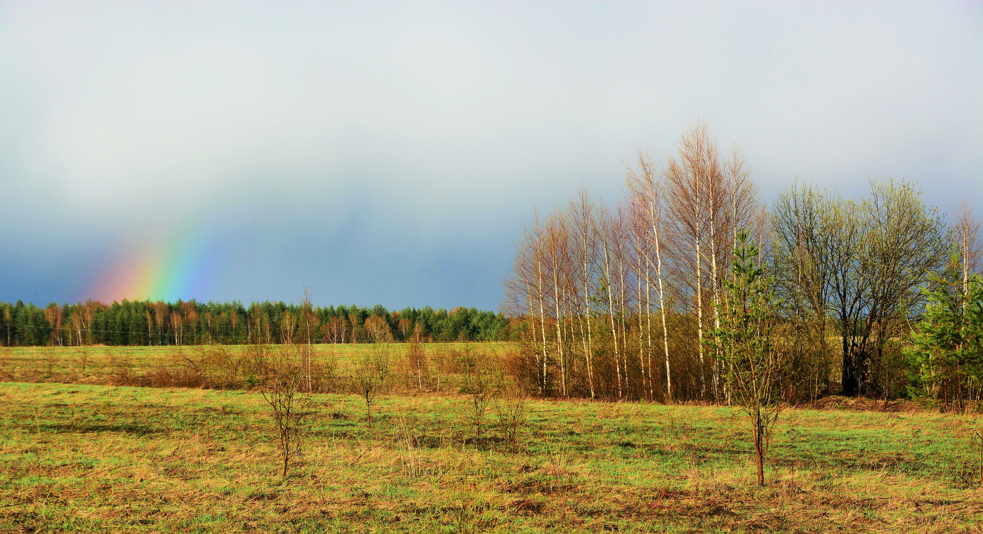 "Проплясал, проплакал дождь весенний ..."