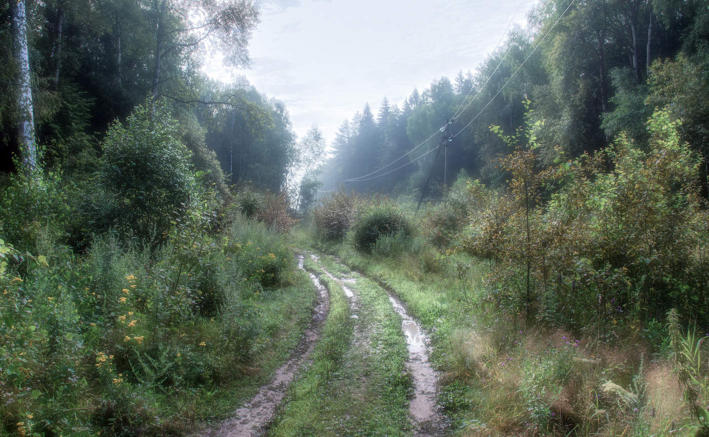 Прошла гроза.