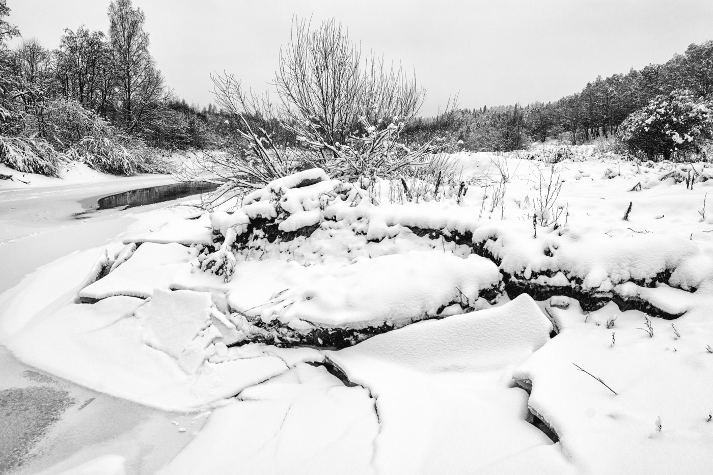 Жизнь вокруг