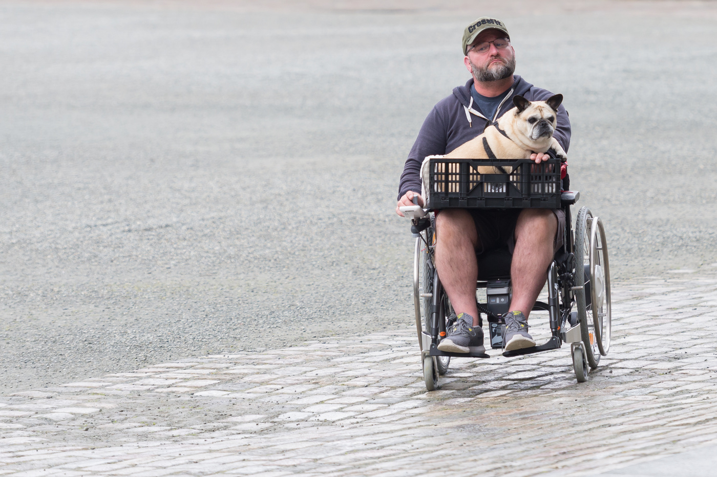 Жизнь вокруг