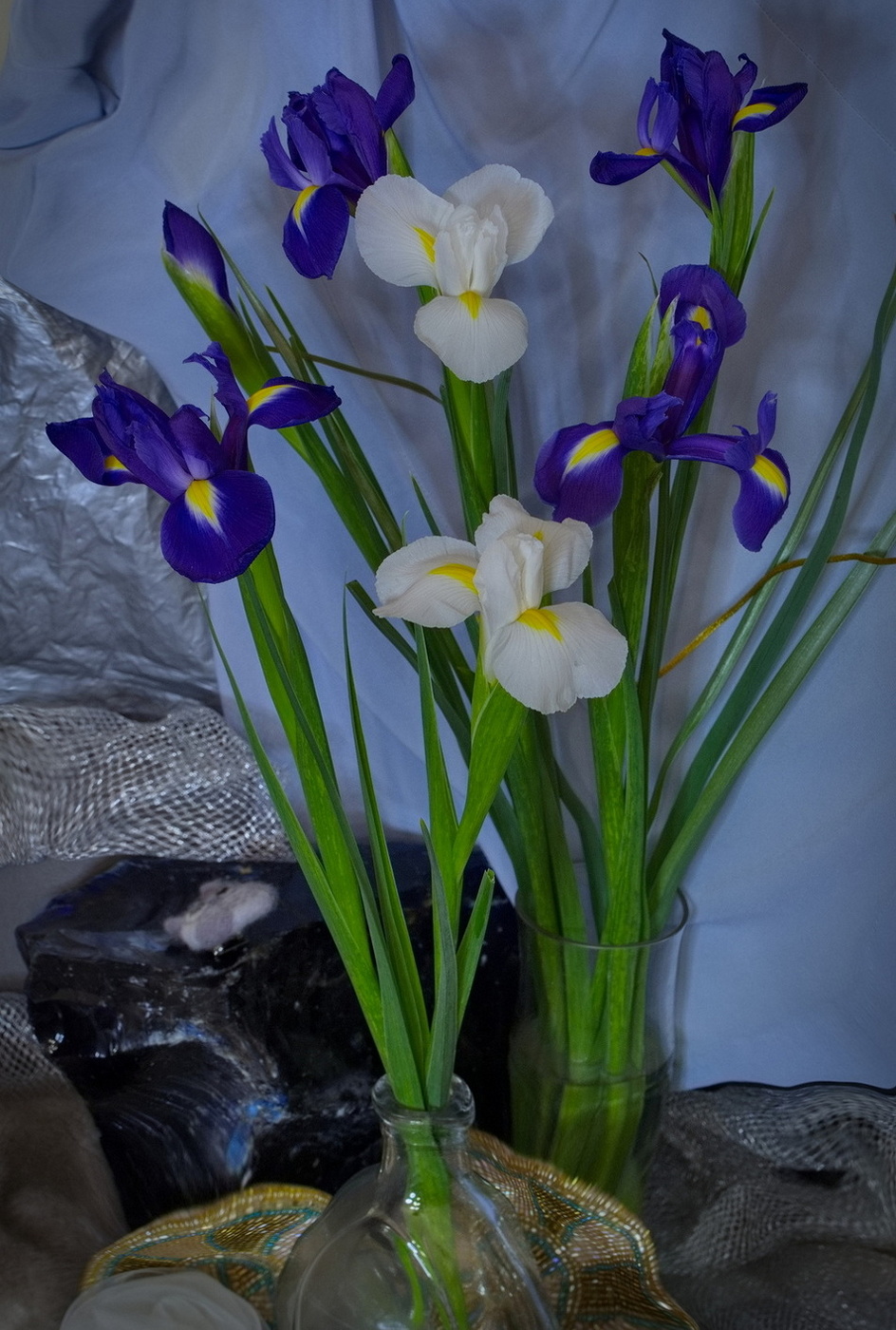 Любимые ирисы