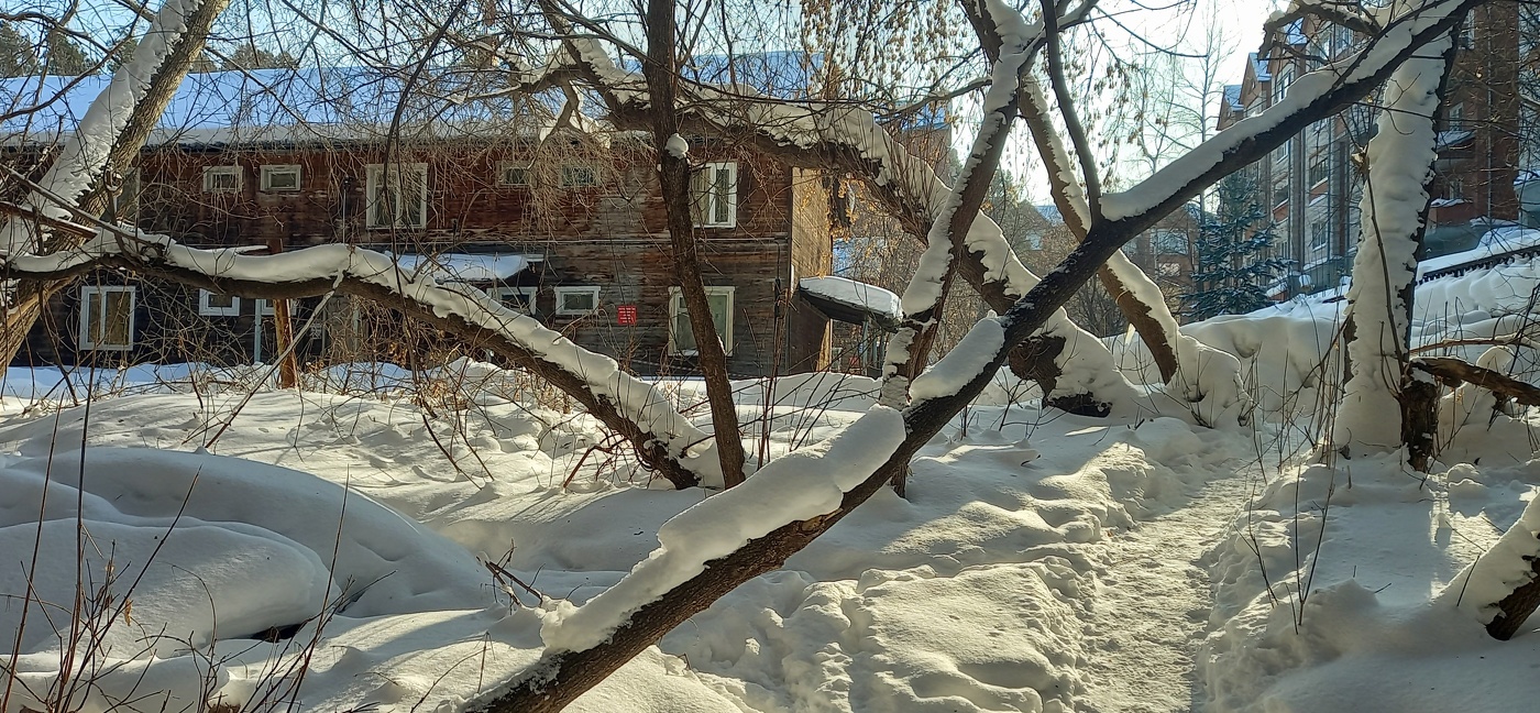 вышел из леса