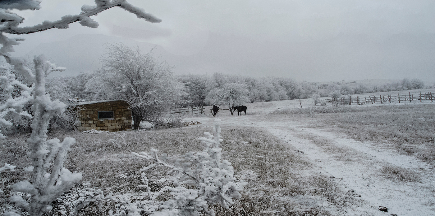 Морозный день
