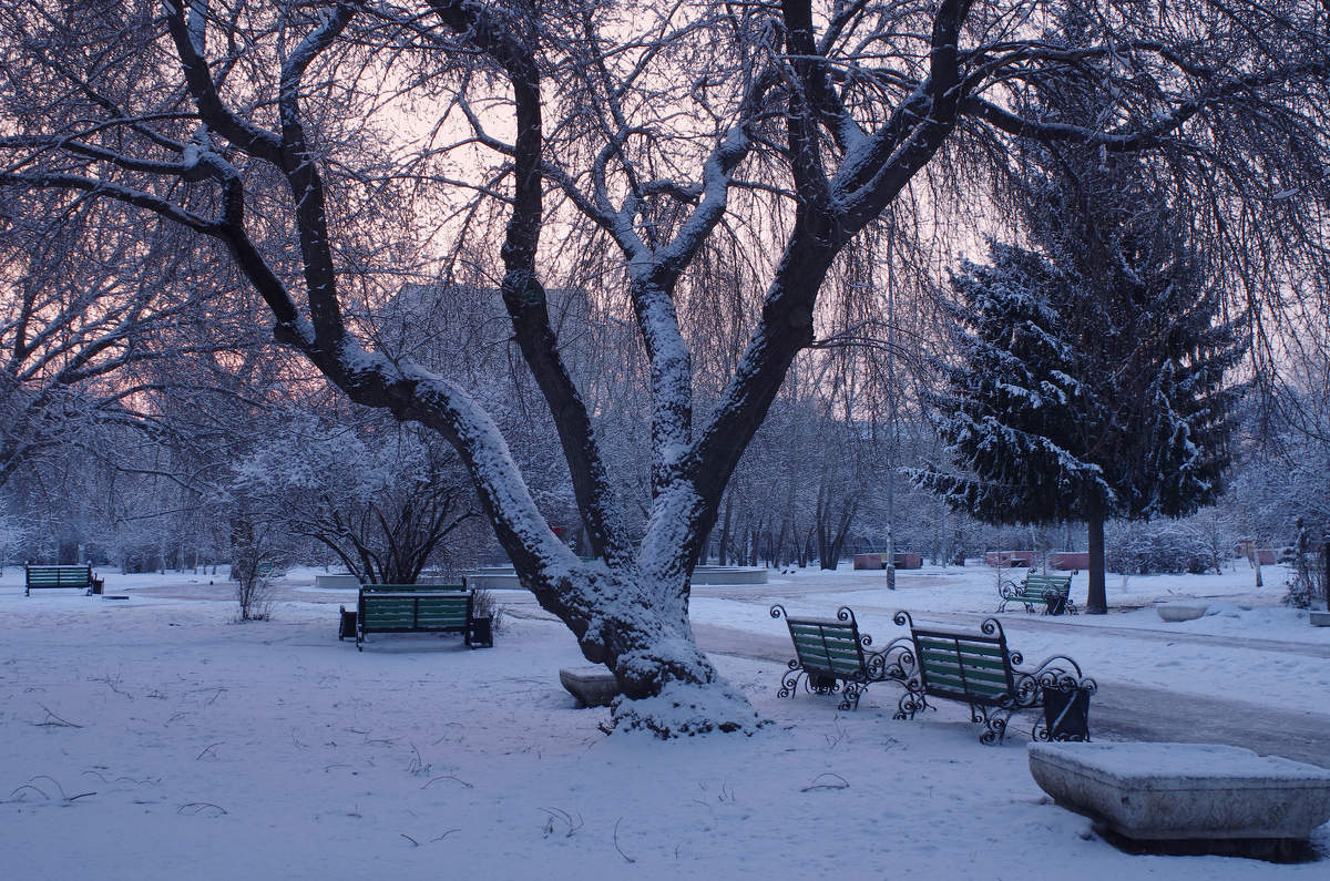 Розовый рассвет