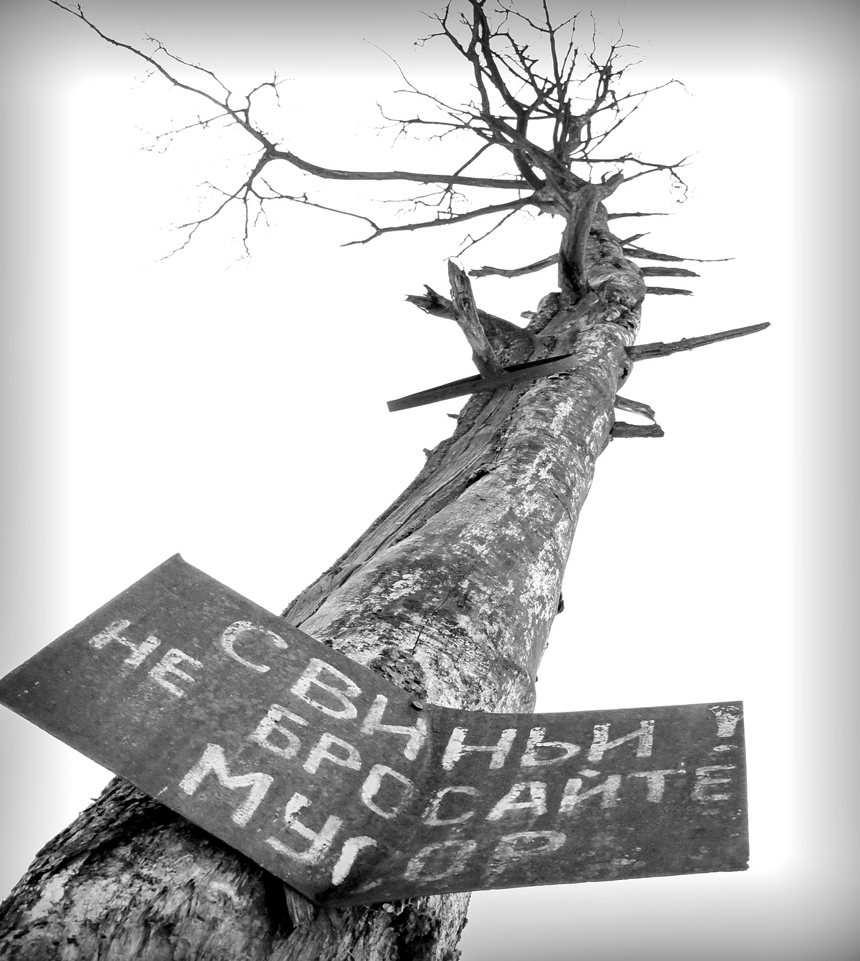 Отчаяния крик!