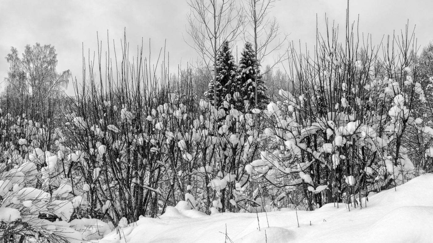 Жизнь вокруг