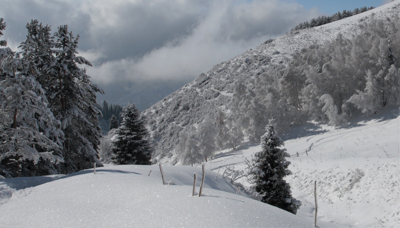 Был такой день...