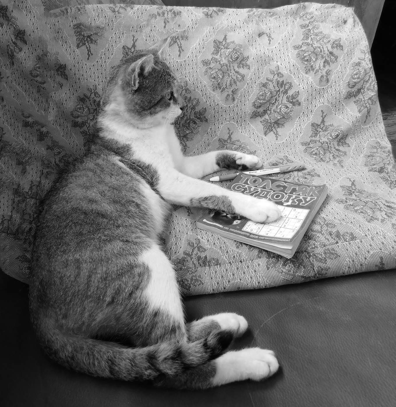 Когда решил трудную задачу