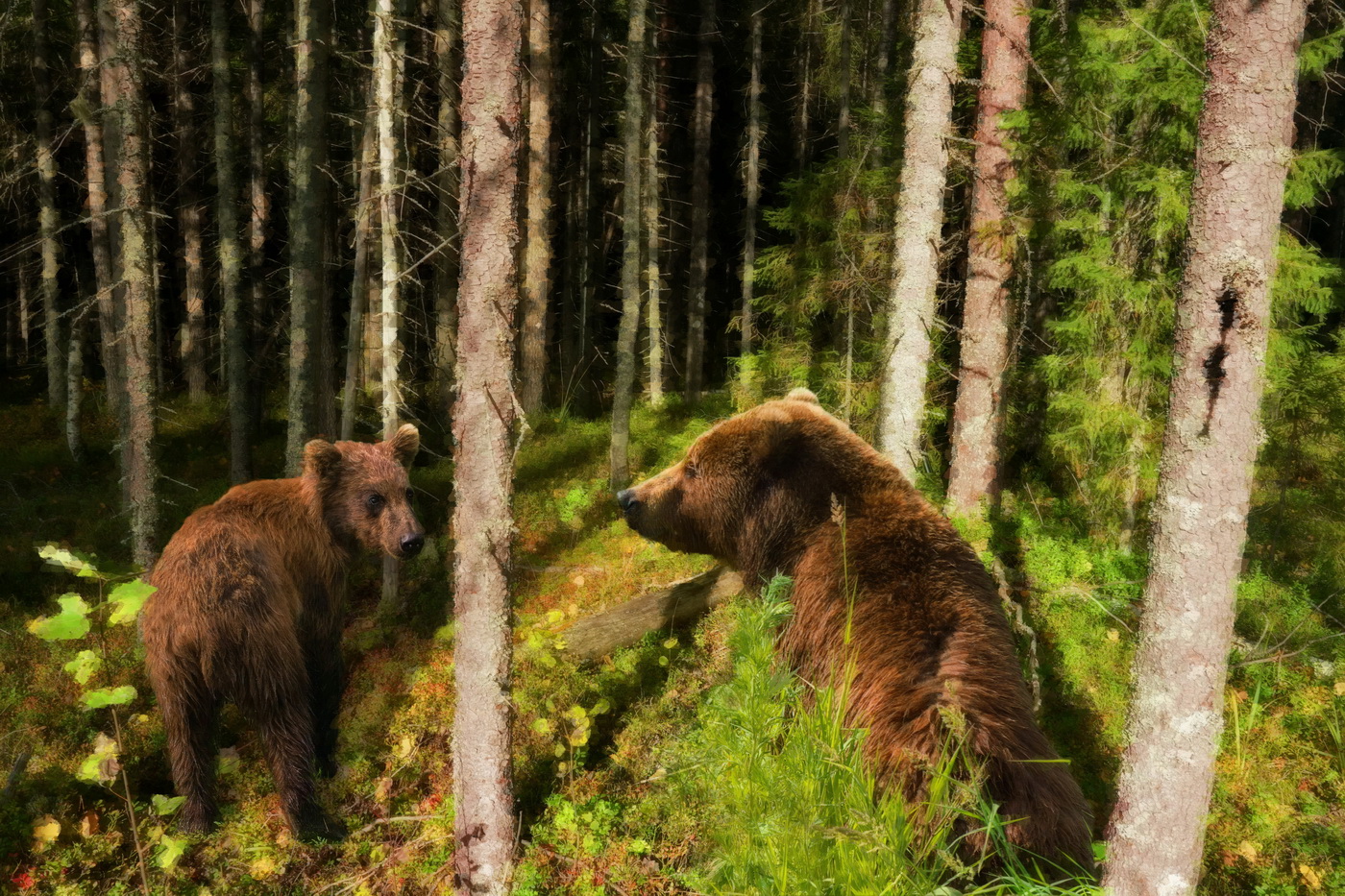 Другое утро.