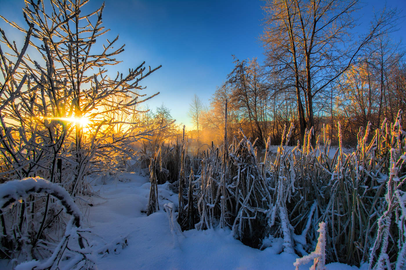 Морозное утро