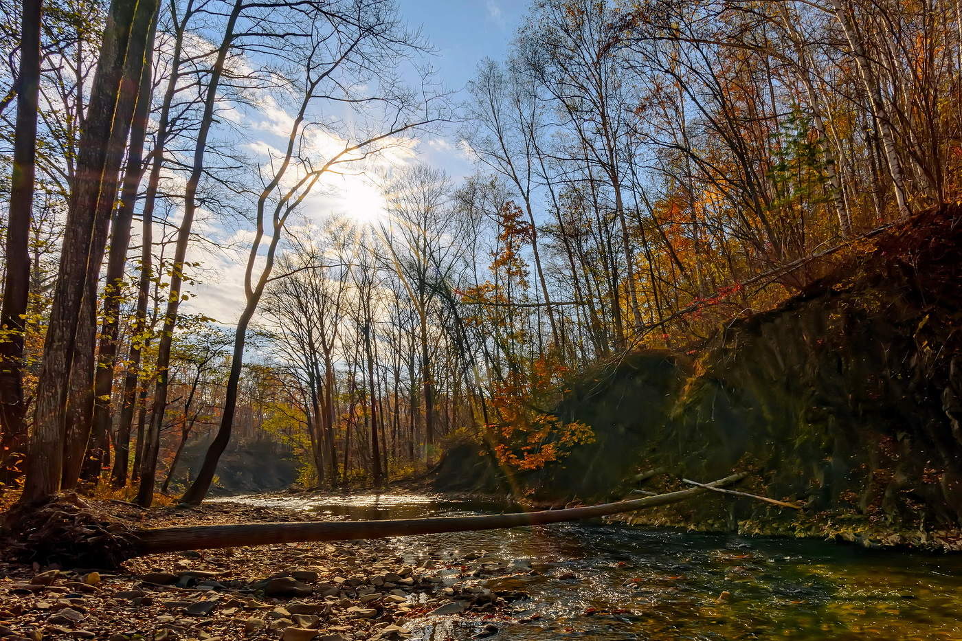 Осеннее утро