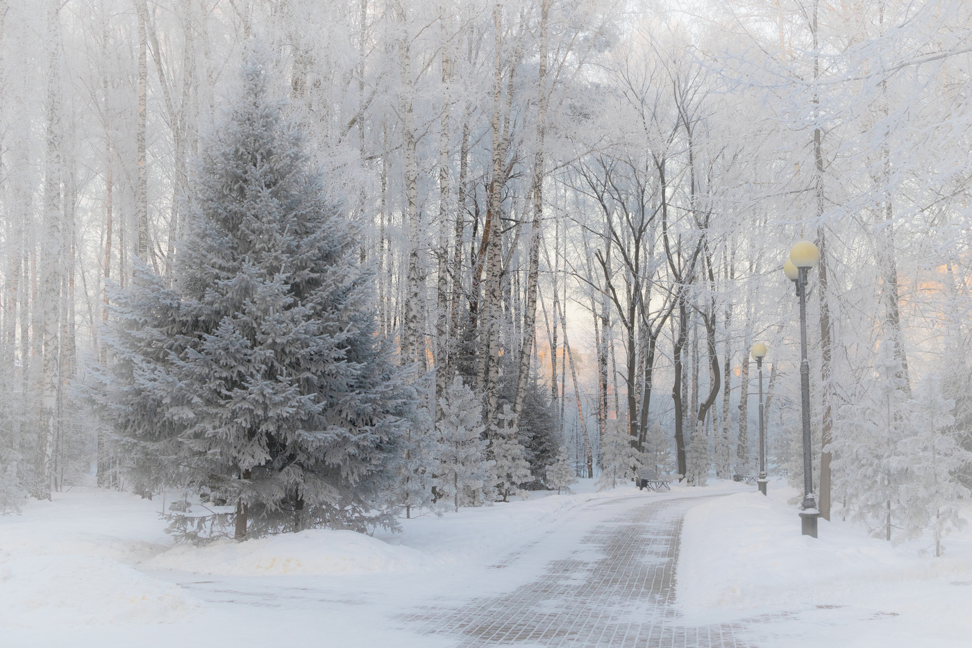 Зима в парке