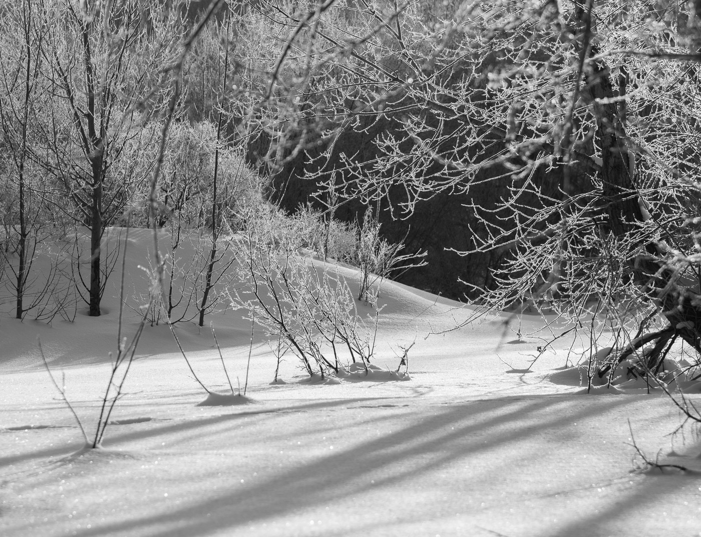 Зимний этюд