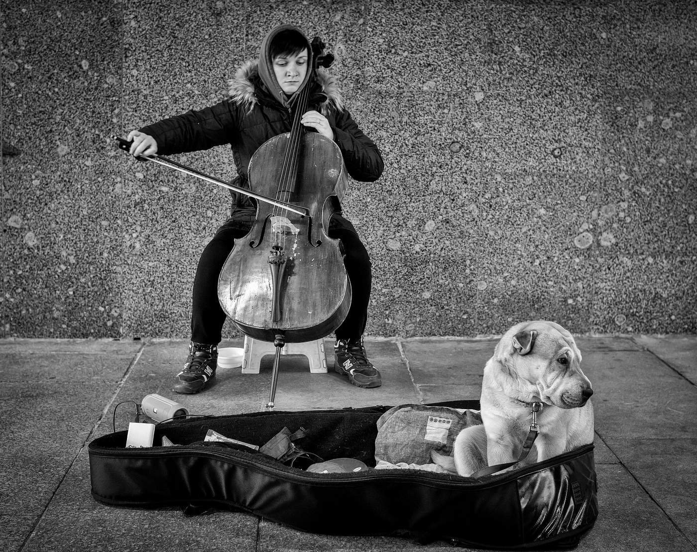 Играем Моцарта