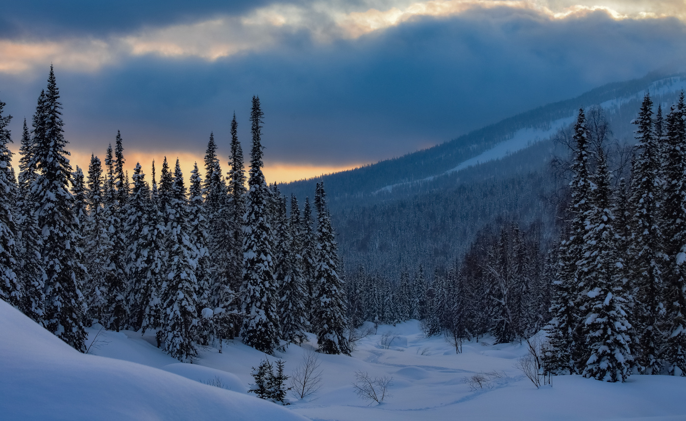 Зимний вечер