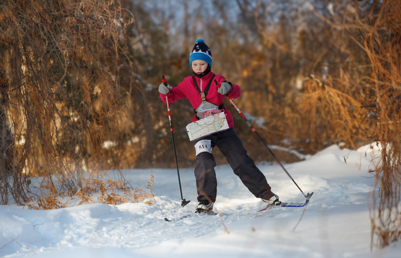 Из осени в зиму.