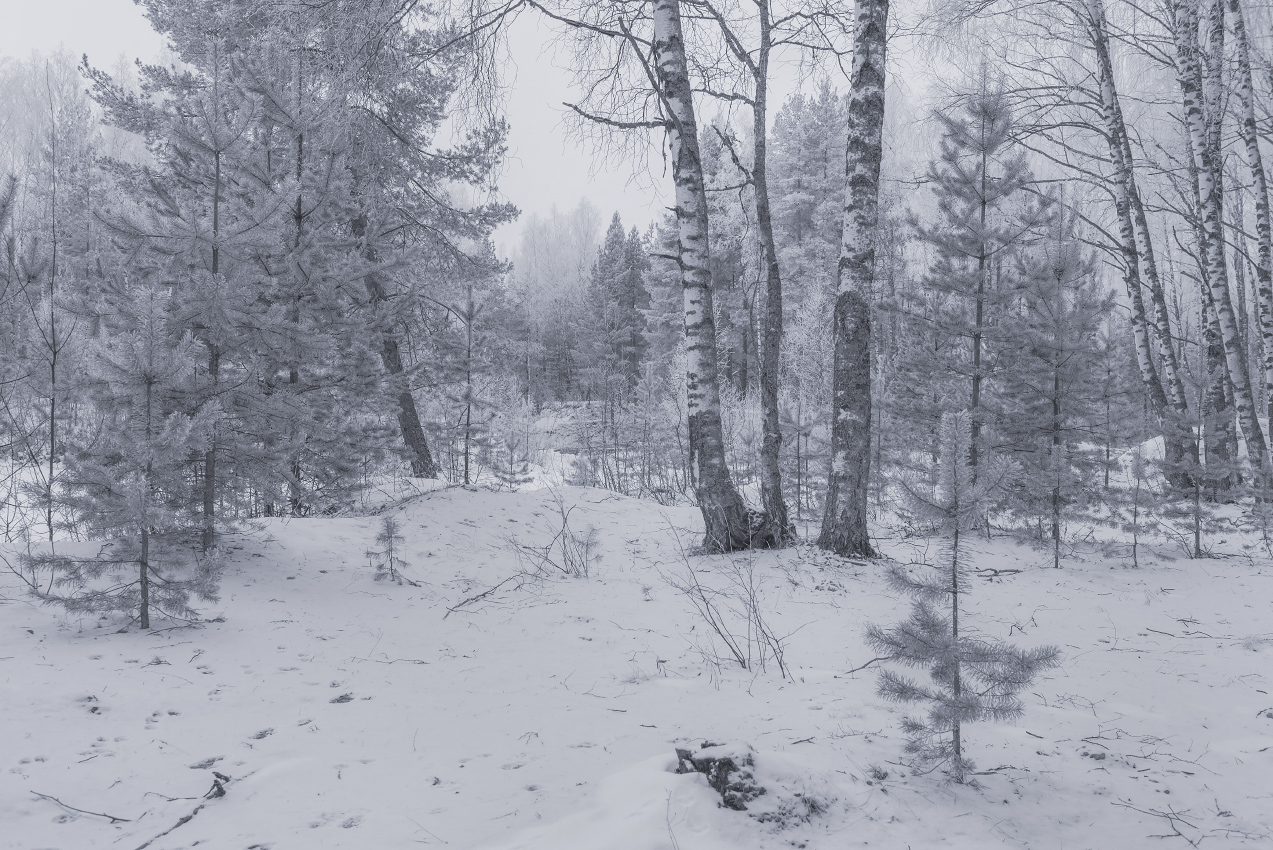 Зимний этюд