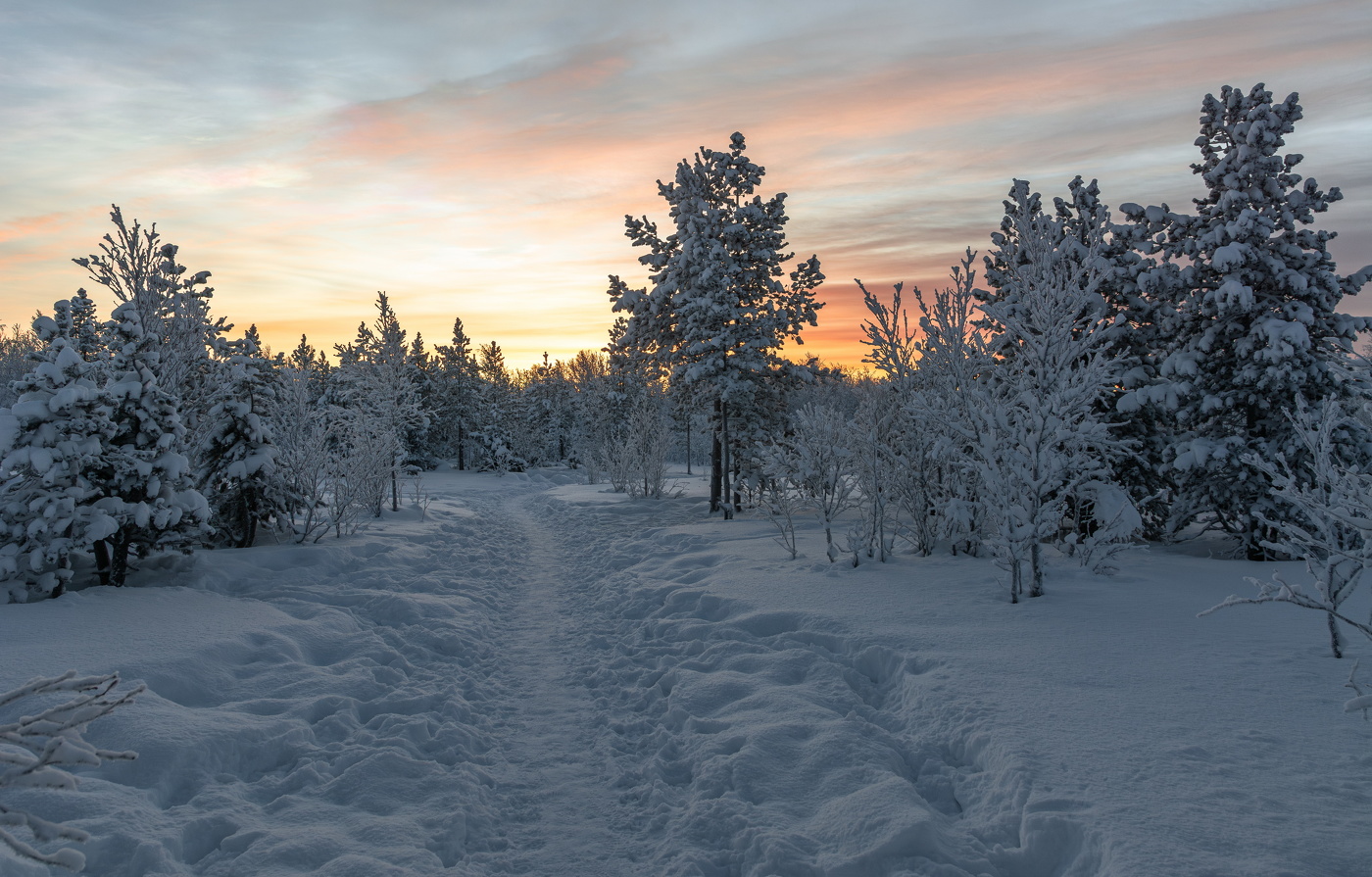 вечерними тропами
