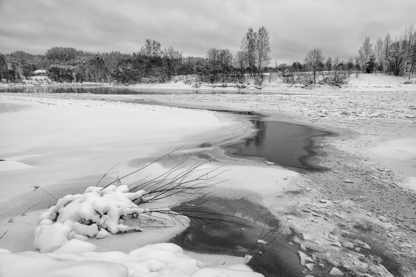 Жизнь вокруг