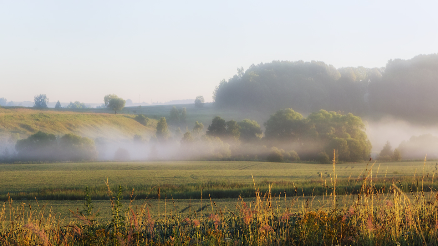 Солнечный туман