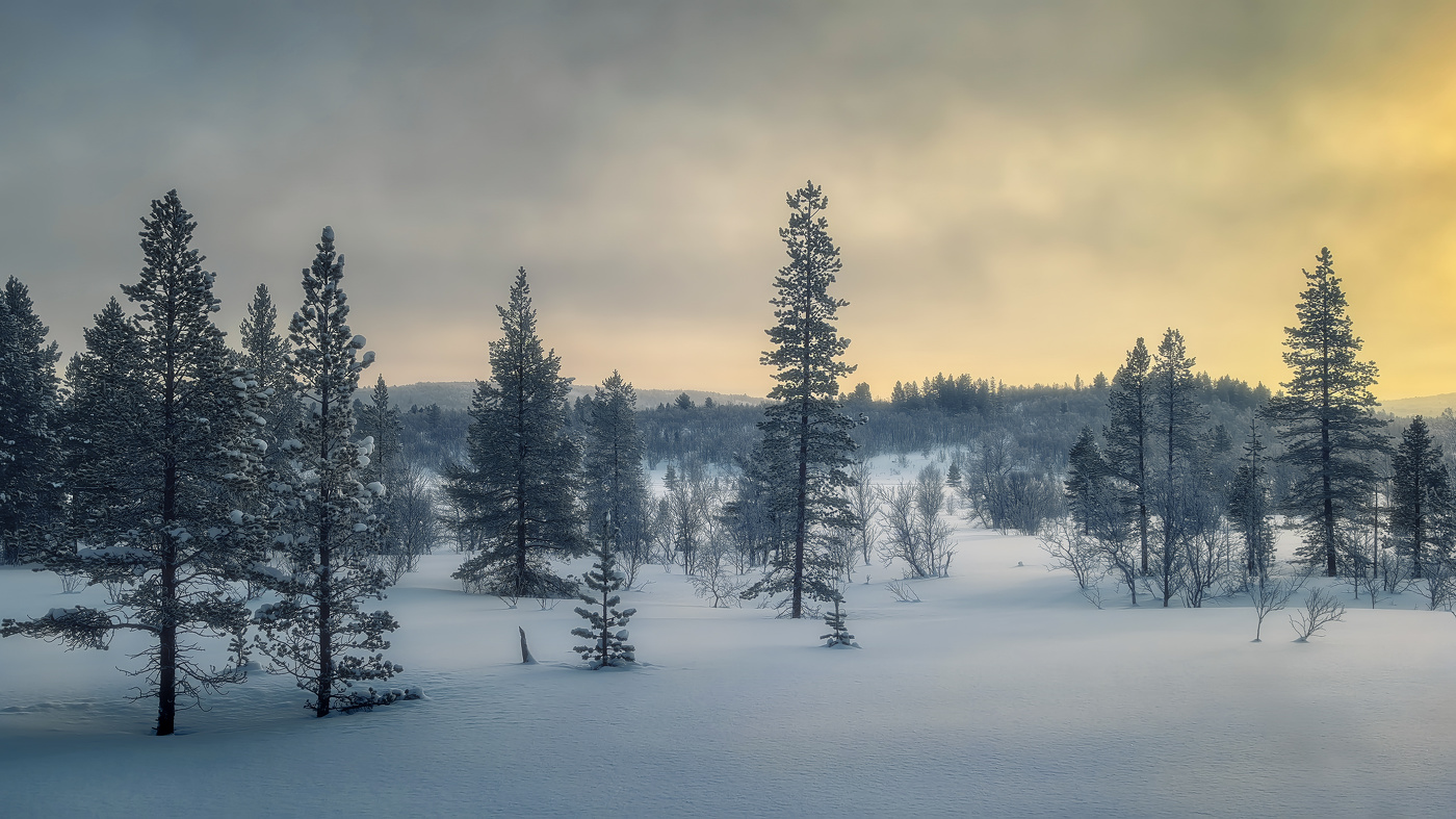 Месяц длинных теней