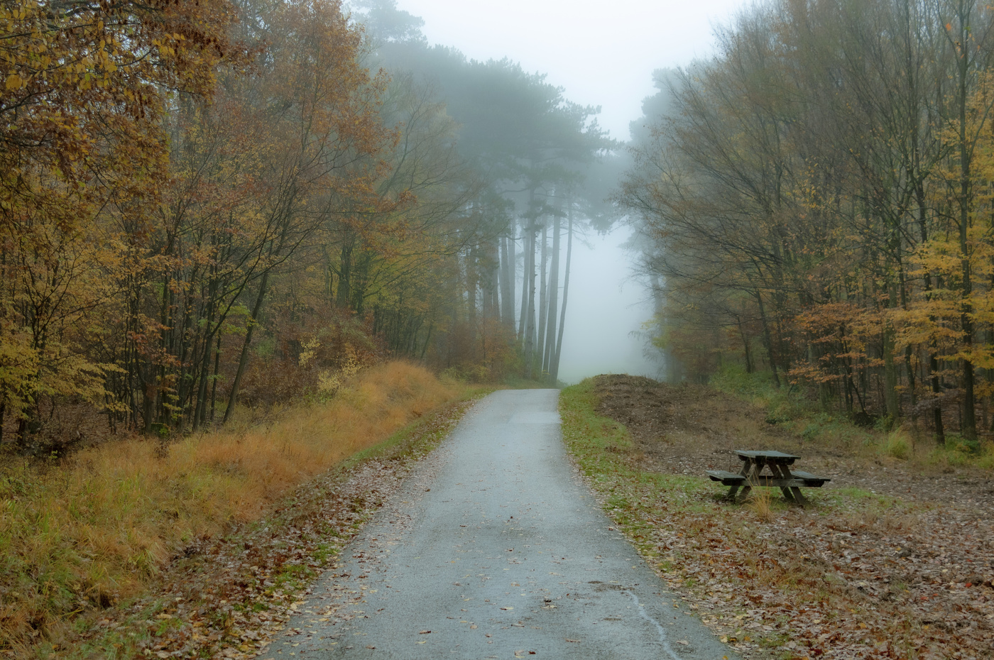 осенний пейзаж