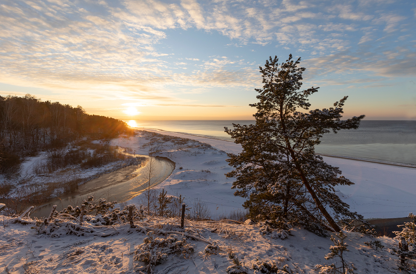 Гнуться, но не ломаться