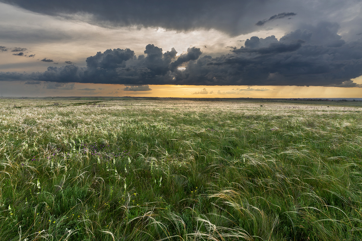 Степь да степь кругом