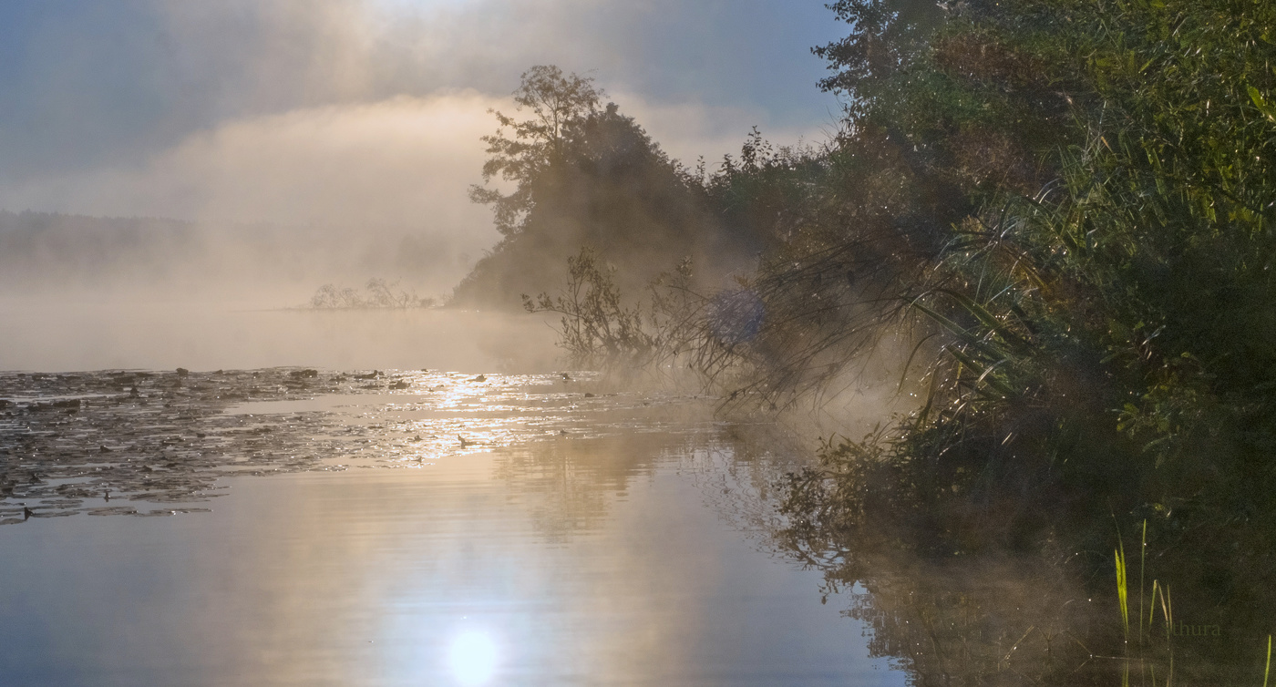 На озере туман.