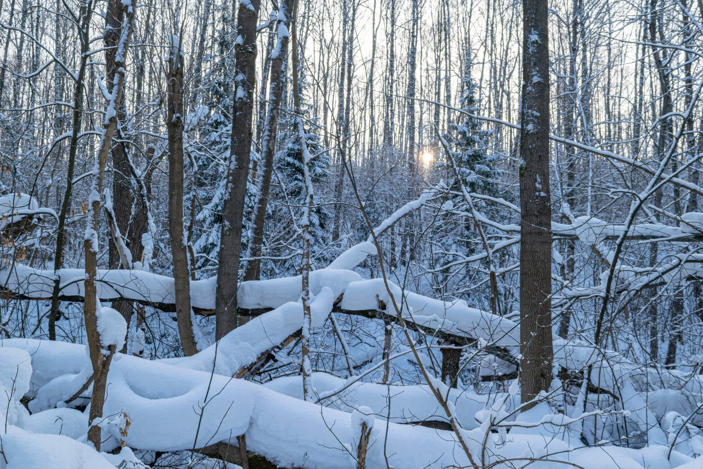 непроходимая балка