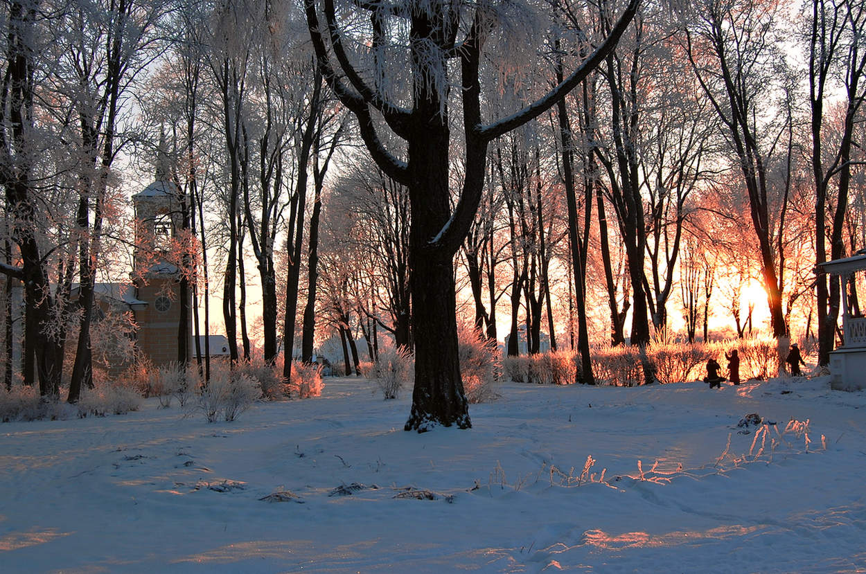 Морозным вечером в усадьбе Тургенева