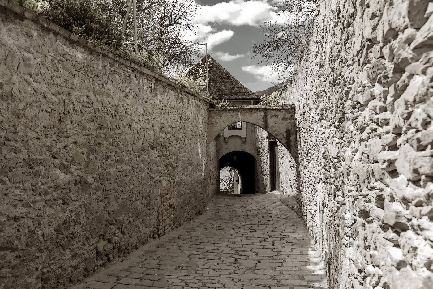 Вне времени