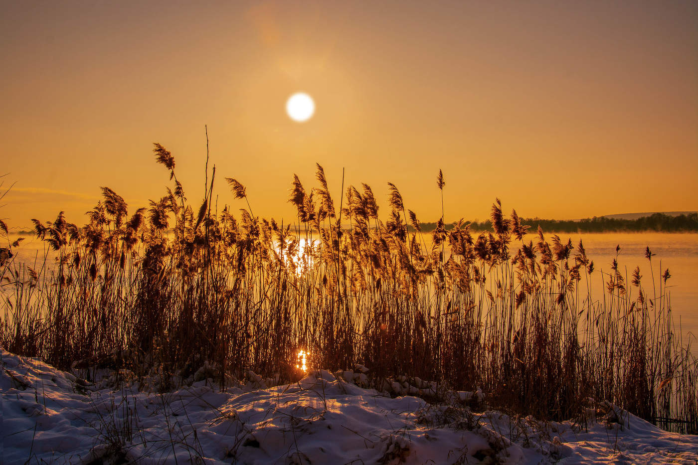 Золотой час 2