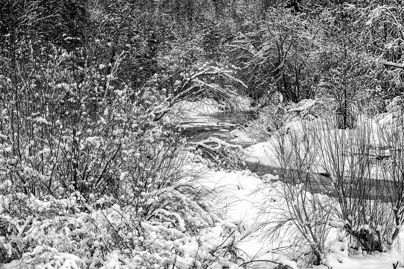 Жизнь вокруг