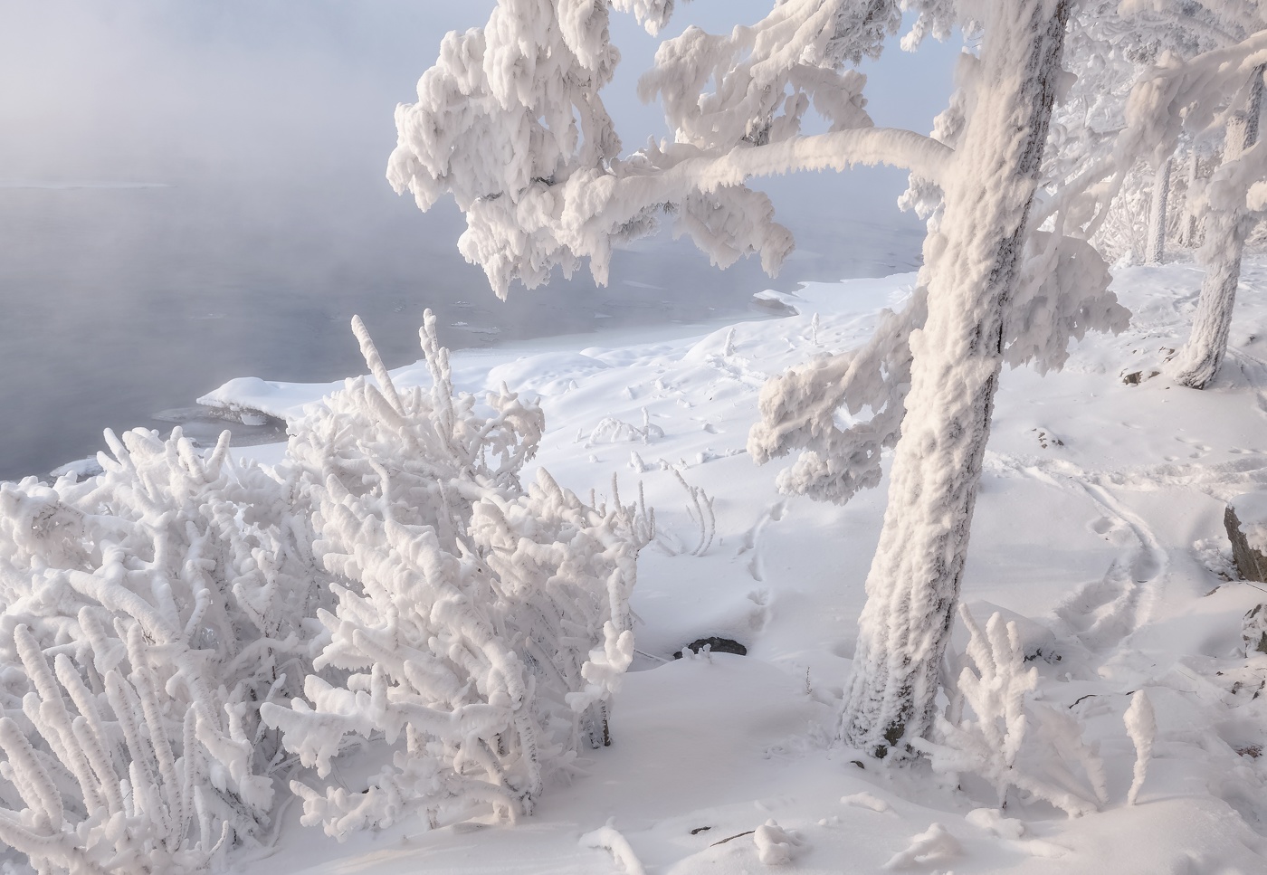 Когда стояли морозы..